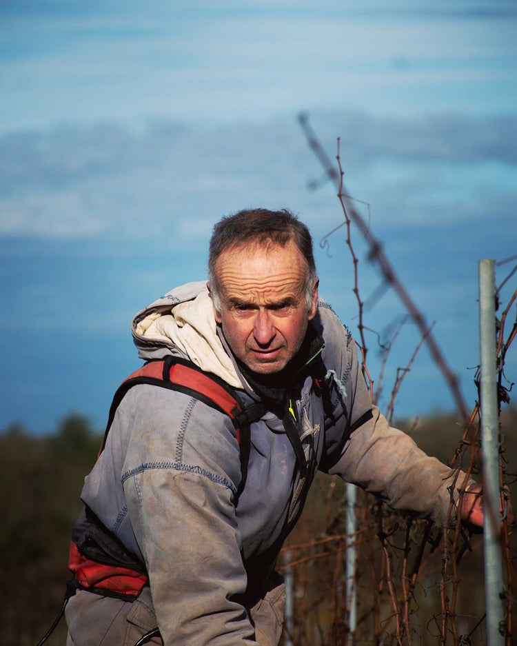 Clos Siguier