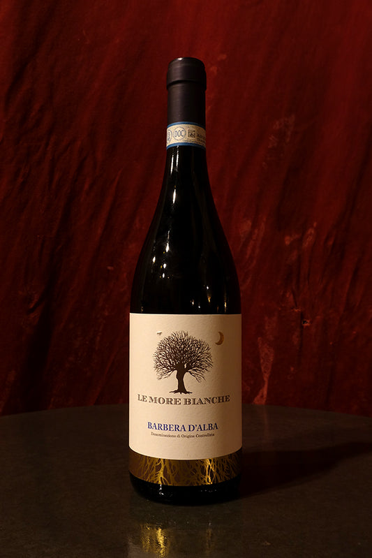 Le More Bianche Barbera d'Alba 2023