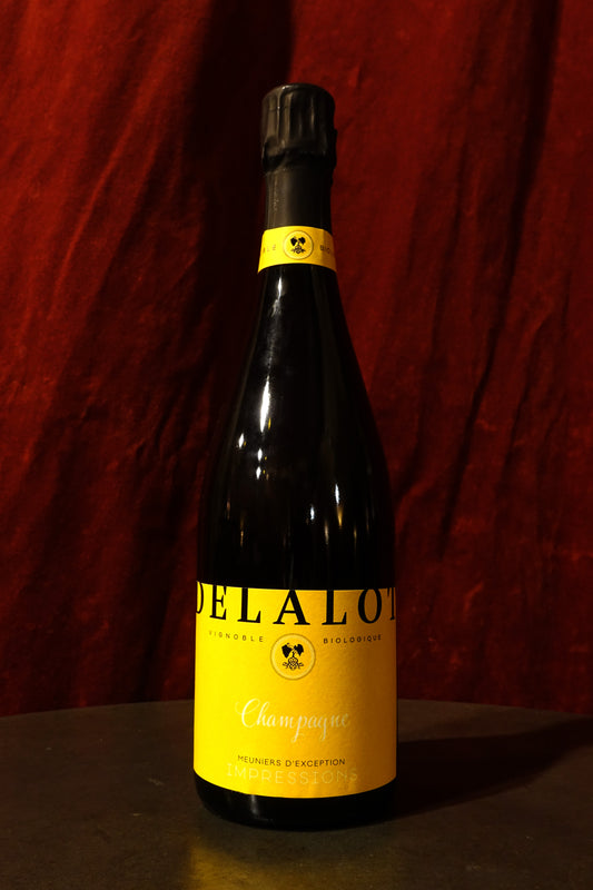 Eliaine Delalot Impressions