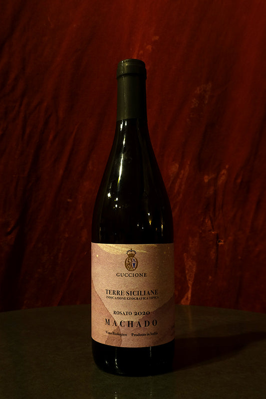 Francesco Guccione Machado 2020