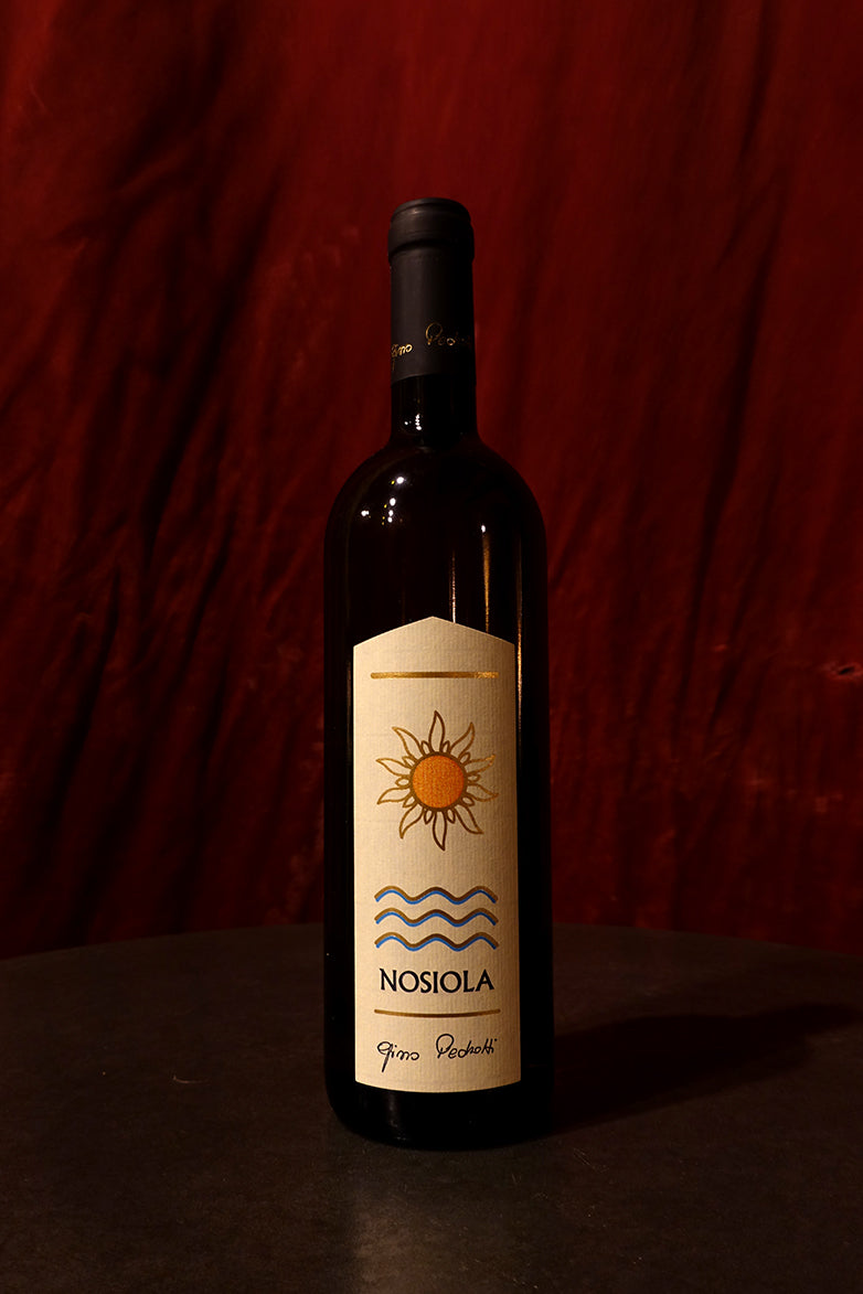 Gino Pedrotti Nosiola 2023