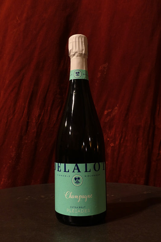 Eliane Delalot Pleiades 2023