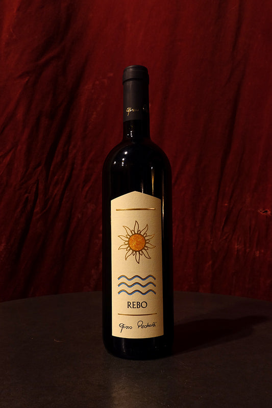 Gino Pedrotti Rebo 2021
