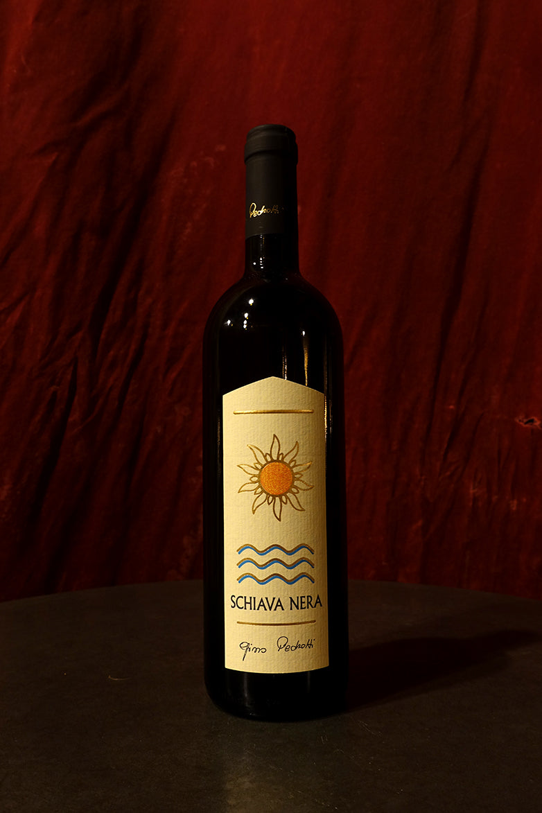 Gino Pedrotti Schiava Nera 2024