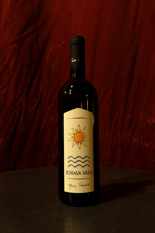 Gino Pedrotti Schiava Nera 2024