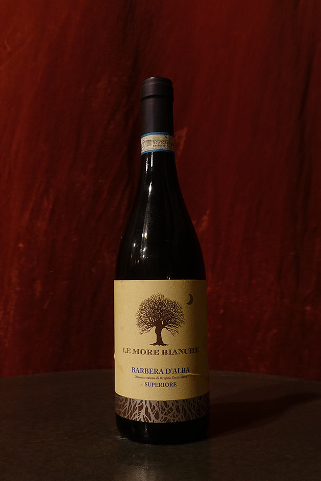 Le More Bianche Barbera d'Alba Superiore 2022