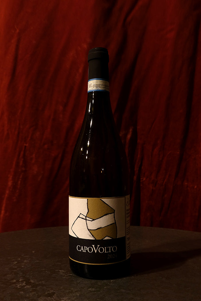 La Marca di San Michele, Capovolto 2024