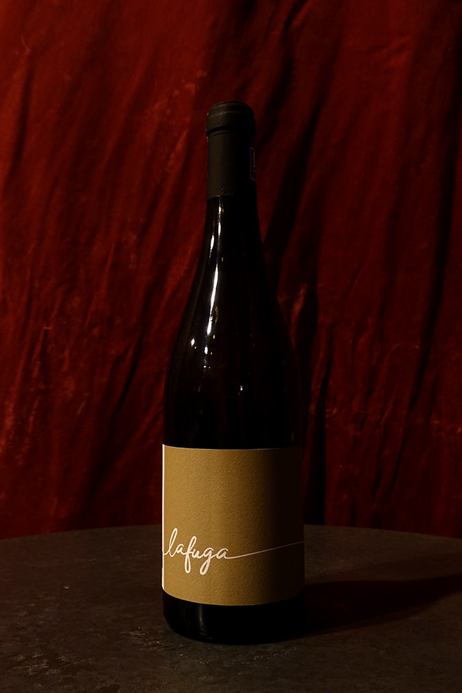 La Marca La Fuga 2024