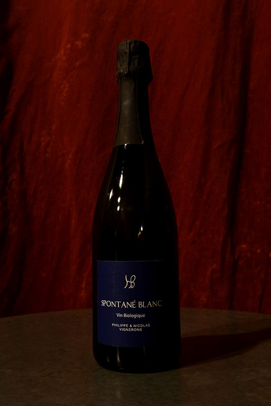 Hauts-Baigneux Spontane Blanc 2022