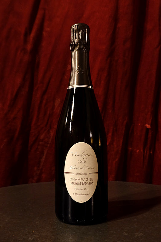 Laurent Benard Vendange 2019
